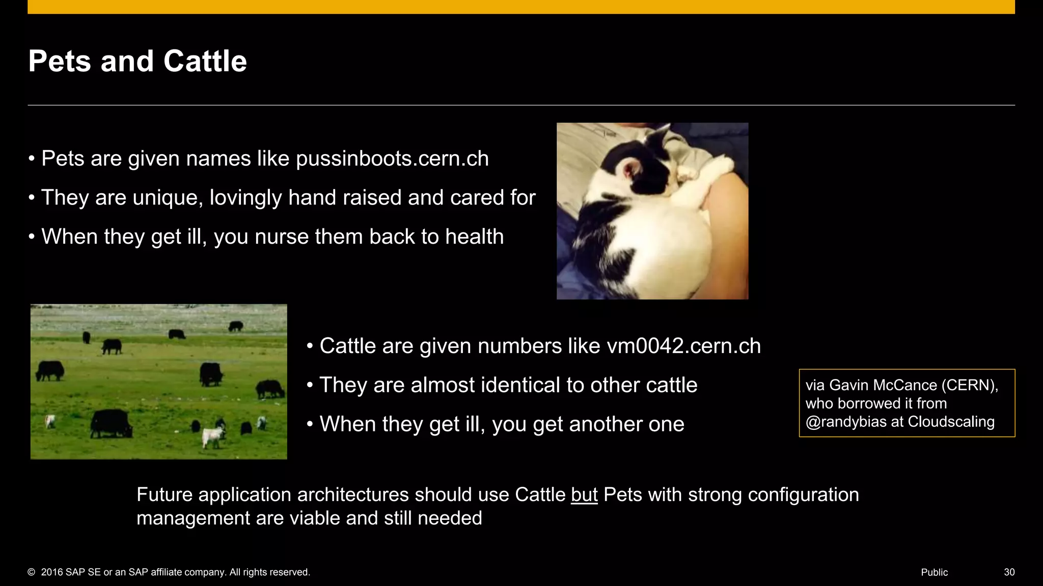 © 2016 SAP SE or an SAP affiliate company. All rights reserved. 30Public
Pets and Cattle
• Pets are given names like pussinboots.cern.ch
• They are unique, lovingly hand raised and cared for
• When they get ill, you nurse them back to health
• Cattle are given numbers like vm0042.cern.ch
• They are almost identical to other cattle
• When they get ill, you get another one
Future application architectures should use Cattle but Pets with strong configuration
management are viable and still needed
via Gavin McCance (CERN),
who borrowed it from
@randybias at Cloudscaling
 