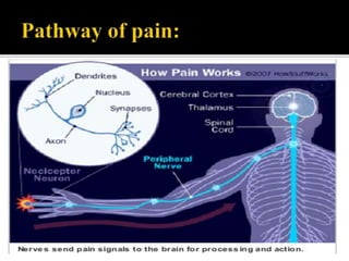 CLINICAL MANAGEMENT OF PAIN | PPTX