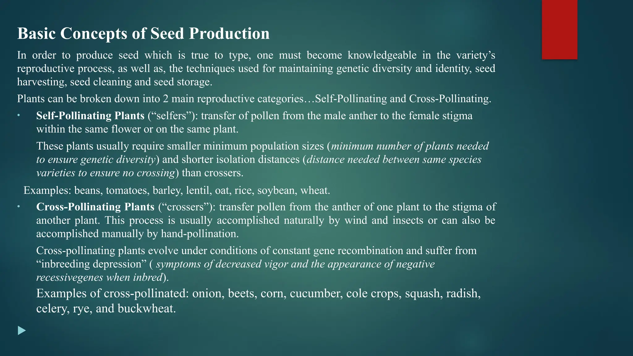 Basic Concepts of Seed Production
In order to produce seed which is true to type, one must become knowledgeable in the variety’s
reproductive process, as well as, the techniques used for maintaining genetic diversity and identity, seed
harvesting, seed cleaning and seed storage.
Plants can be broken down into 2 main reproductive categories…Self-Pollinating and Cross-Pollinating.
• Self-Pollinating Plants (“selfers”): transfer of pollen from the male anther to the female stigma
within the same flower or on the same plant.
These plants usually require smaller minimum population sizes (minimum number of plants needed
to ensure genetic diversity) and shorter isolation distances (distance needed between same species
varieties to ensure no crossing) than crossers.
Examples: beans, tomatoes, barley, lentil, oat, rice, soybean, wheat.
• Cross-Pollinating Plants (“crossers”): transfer pollen from the anther of one plant to the stigma of
another plant. This process is usually accomplished naturally by wind and insects or can also be
accomplished manually by hand-pollination.
Cross-pollinating plants evolve under conditions of constant gene recombination and suffer from
“inbreeding depression” ( symptoms of decreased vigor and the appearance of negative
recessivegenes when inbred).
Examples of cross-pollinated: onion, beets, corn, cucumber, cole crops, squash, radish,
celery, rye, and buckwheat.

 