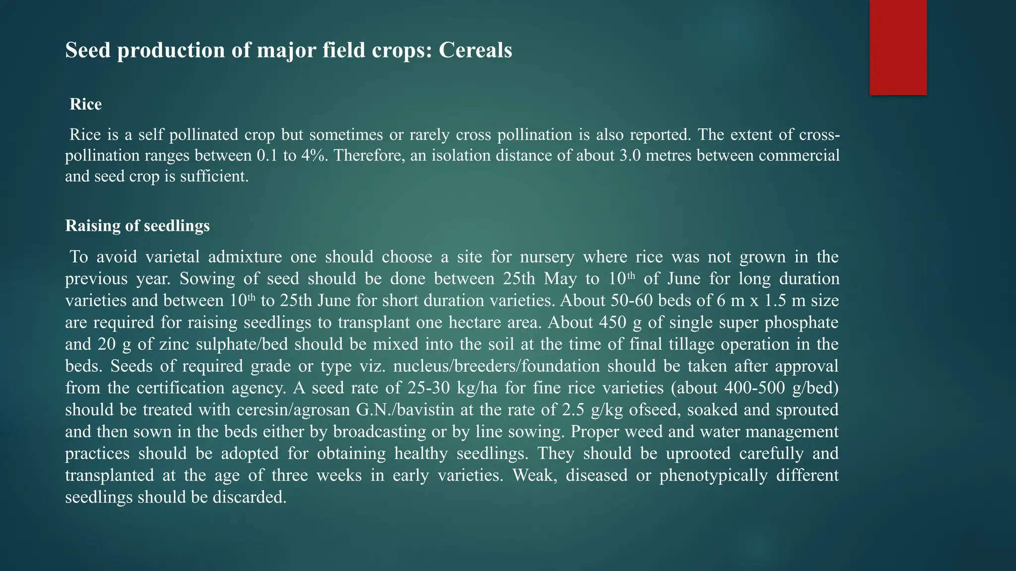 Seed production of major field crops: Cereals
Rice
Rice is a self pollinated crop but sometimes or rarely cross pollination is also reported. The extent of cross-
pollination ranges between 0.1 to 4%. Therefore, an isolation distance of about 3.0 metres between commercial
and seed crop is sufficient.
Raising of seedlings
To avoid varietal admixture one should choose a site for nursery where rice was not grown in the
previous year. Sowing of seed should be done between 25th May to 10th
of June for long duration
varieties and between 10th
to 25th June for short duration varieties. About 50-60 beds of 6 m x 1.5 m size
are required for raising seedlings to transplant one hectare area. About 450 g of single super phosphate
and 20 g of zinc sulphate/bed should be mixed into the soil at the time of final tillage operation in the
beds. Seeds of required grade or type viz. nucleus/breeders/foundation should be taken after approval
from the certification agency. A seed rate of 25-30 kg/ha for fine rice varieties (about 400-500 g/bed)
should be treated with ceresin/agrosan G.N./bavistin at the rate of 2.5 g/kg ofseed, soaked and sprouted
and then sown in the beds either by broadcasting or by line sowing. Proper weed and water management
practices should be adopted for obtaining healthy seedlings. They should be uprooted carefully and
transplanted at the age of three weeks in early varieties. Weak, diseased or phenotypically different
seedlings should be discarded.
 