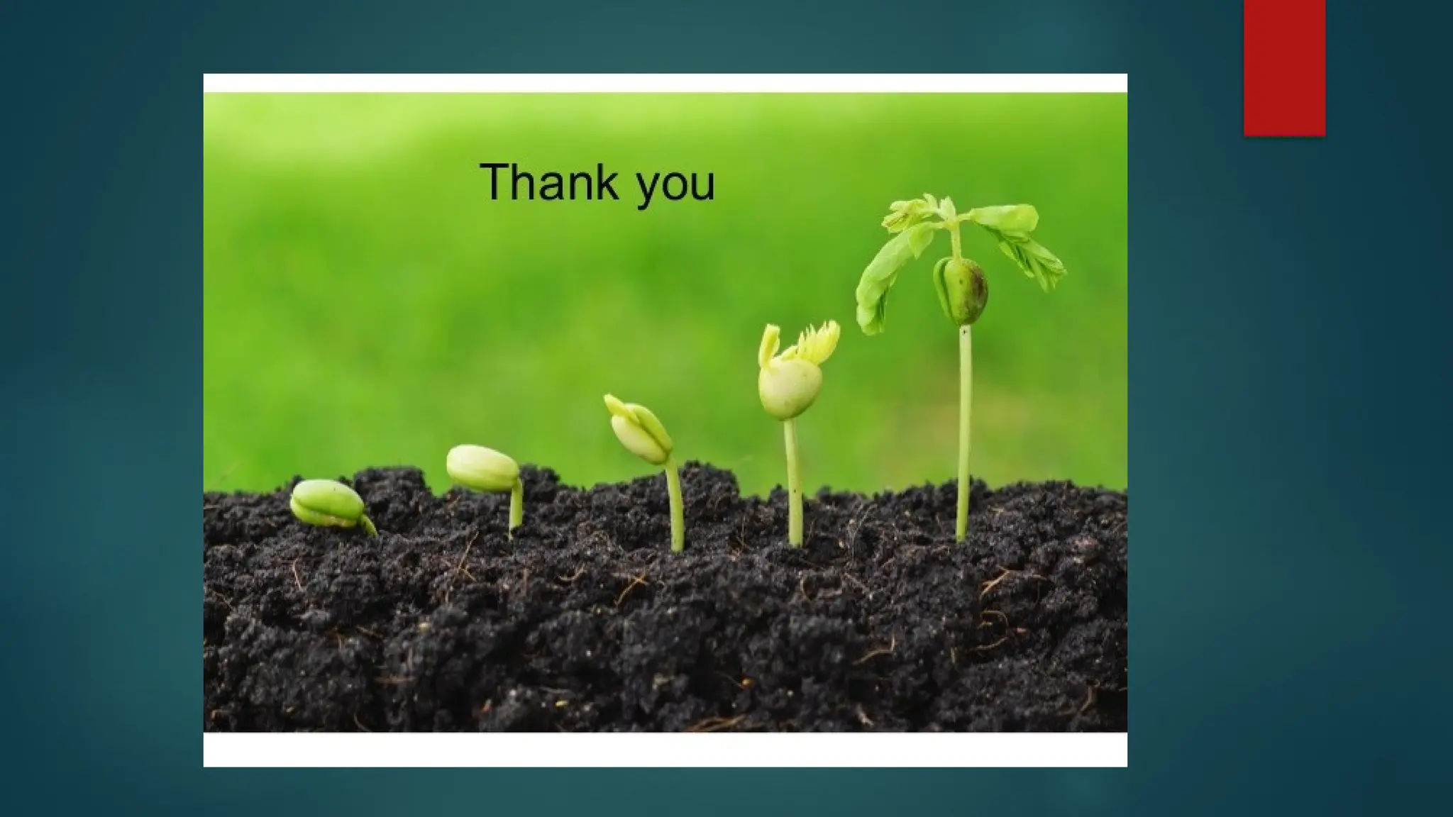 SEED PRODUCTION TECHNOLOGY.pptx  SEED PRODUCTION