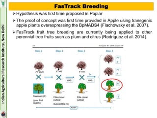 Fas-Track Breeding Approaches in Fruit Crops | PPT