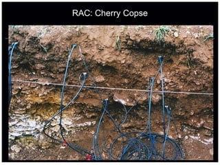RAC: Cherry Copse