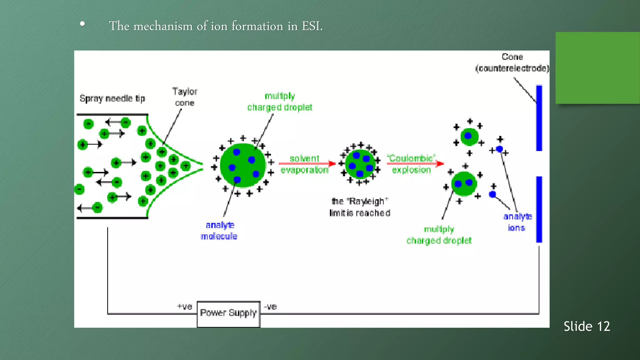 • The mechanism of ion formation in ESI.
Slide 12
 