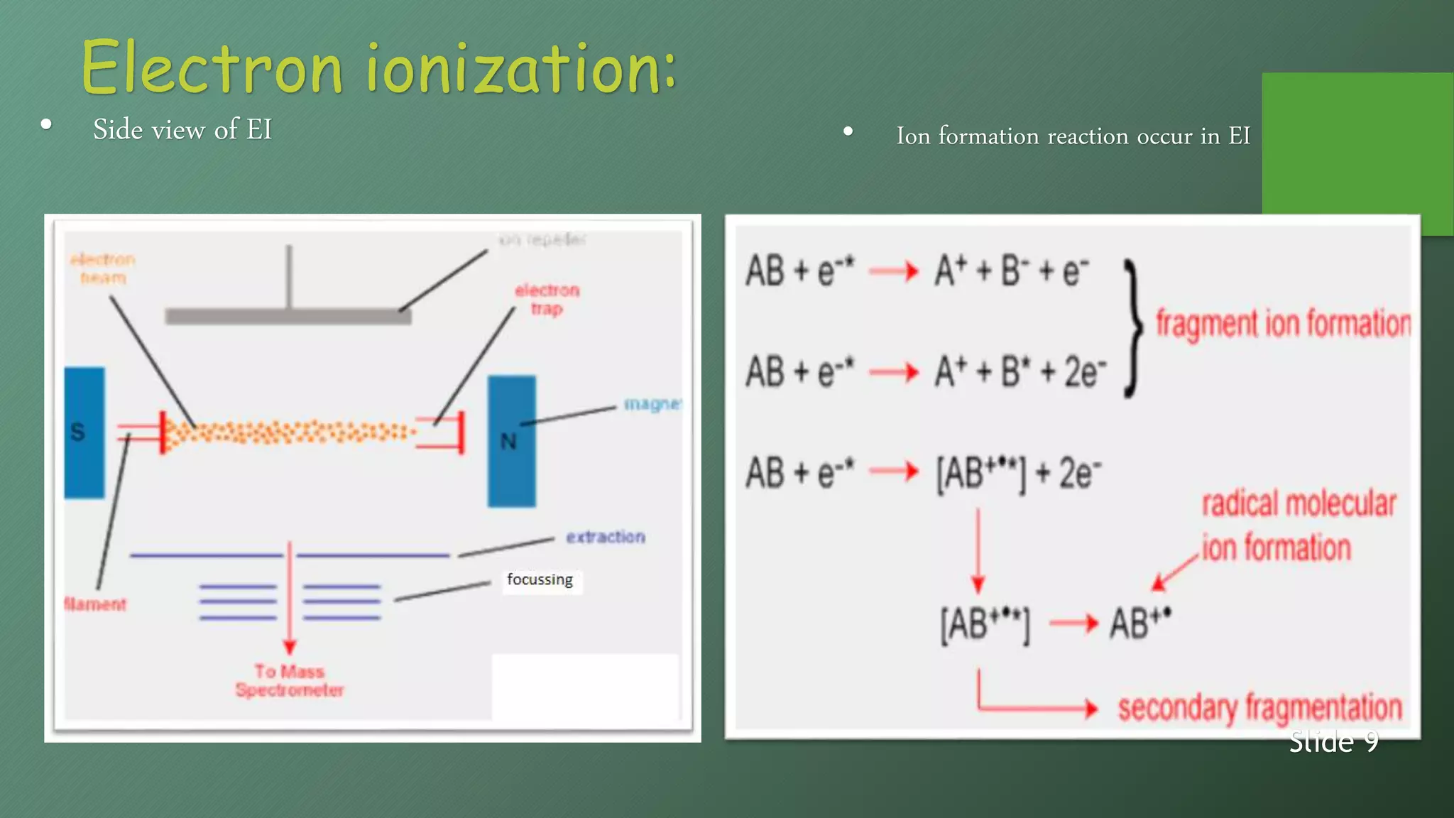 Electron ionization:
• Side view of EI • Ion formation reaction occur in EI
Slide 9
 
