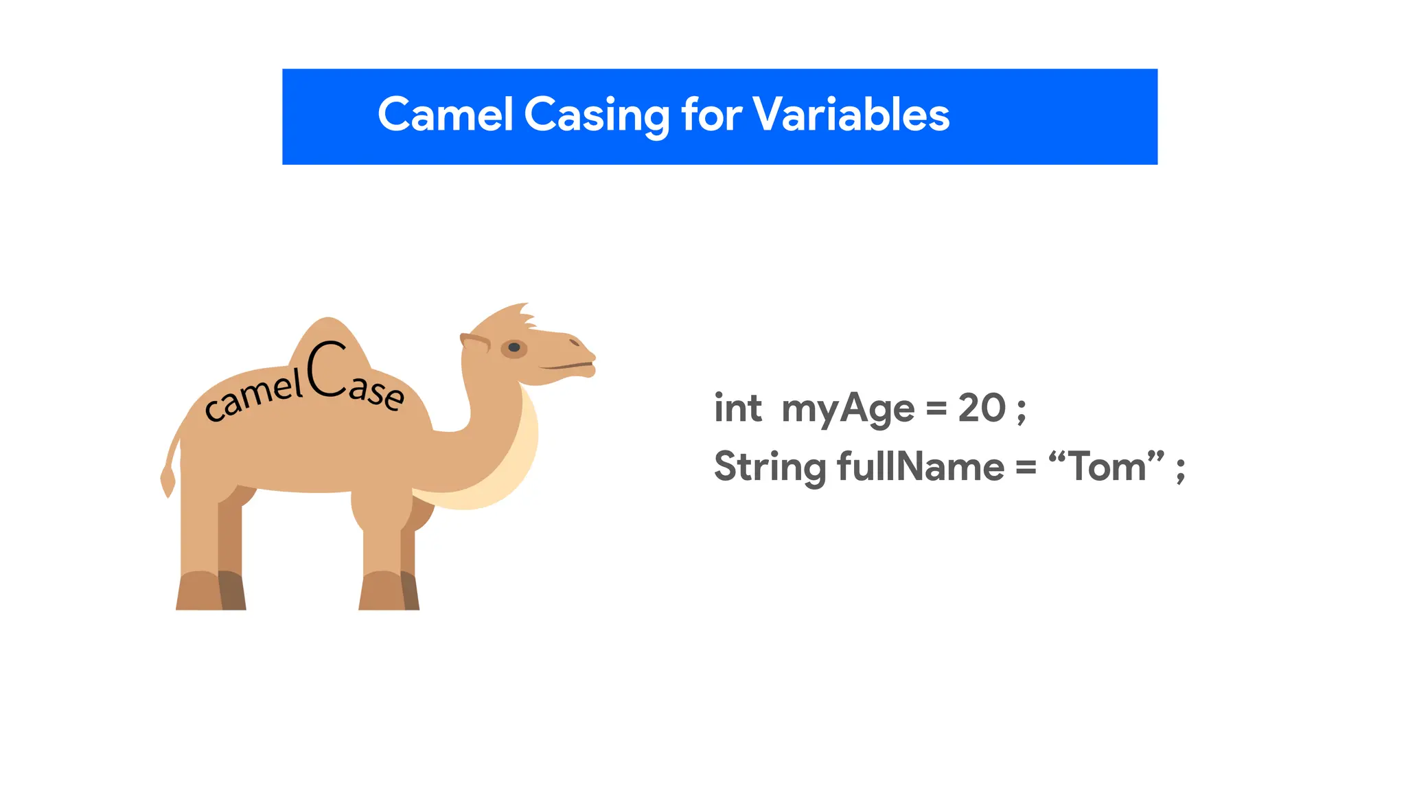 Camel Casing for Variables
int myAge = 20 ;
String fullName = “Tom” ;
 