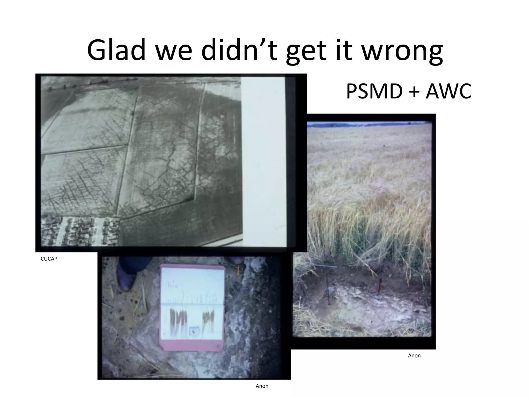 Glad we didn’t get it wrong
PSMD + AWC
Anon
Anon
CUCAP