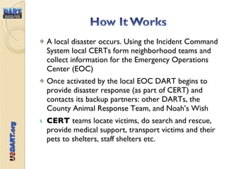 A local disaster occurs. Using the Incident Command System local CERTs form neighborhood teams and collect information for the Emergency Operations Center (EOC) Once activated by the local EOC DART begins to provide disaster response (as part of CERT) and contacts its backup partners: other DARTs, the County Animal Response Team, and Noah’s Wish  CERT  teams locate victims, do search and rescue, provide medical support, transport victims and their pets to shelters, staff shelters etc. 