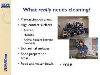 Pre-vaccination areas High contact surfaces Animals Humans Animal housing  between occupants Sick animal surfaces Food preparation areas Food and water bowls YOU! 