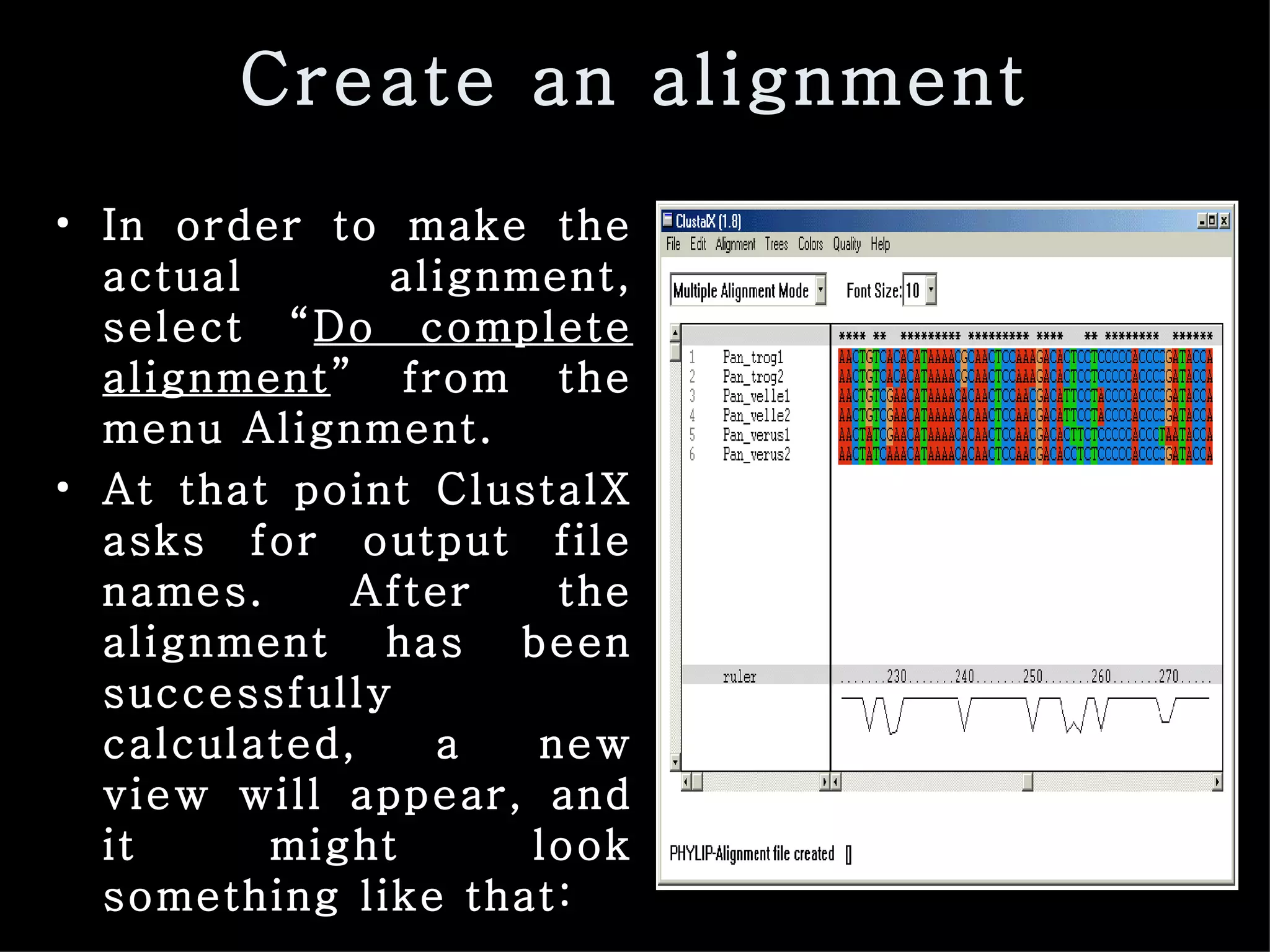 Create an alignment In order to make the actual alignment, select “ Do complete alignment ” from the menu Alignment.  At that point ClustalX asks for output file names. After the alignment has been successfully calculated, a new view will appear, and it might look something like that: 
