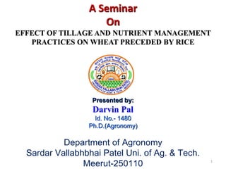 A Seminar
On
EFFECT OF TILLAGE AND NUTRIENT MANAGEMENT
PRACTICES ON WHEAT PRECEDED BY RICE
Presented by:
Darvin Pal
Id. No.- 1480
Ph.D.(Agronomy)
Department of Agronomy
Sardar Vallabhbhai Patel Uni. of Ag. & Tech.
Meerut-250110 1
 
