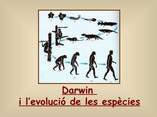 Darwin  i l’evolució de les espècies 