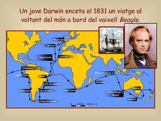 Un jove Darwin enceta el 1831 un viatge al voltant del món a bord del vaixell  Beagle . 
