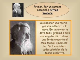 Va elaborar una teoria gairebé idèntica a la meva. Em va enviar la seva tesi i gràcies a això em vaig decidir a donar una forta empenta al meu treball i publicar-lo . Se li considera codescobridor de la teoria evolutiva. Primer, fer un esment especial a  Alfred Wallace 