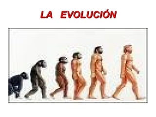 LA EVOLUCIÓNLA EVOLUCIÓN
 