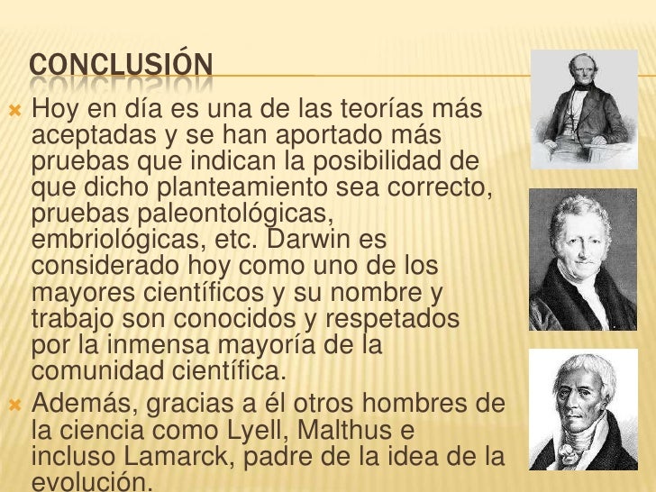 Conclusion de la teoria de darwin
