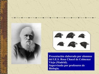 Presentación elaborada por alumnos del I.E.S. Rosa Chacel de Colmenar Viejo (Madrid). Supervisada por profesores de Biología. 