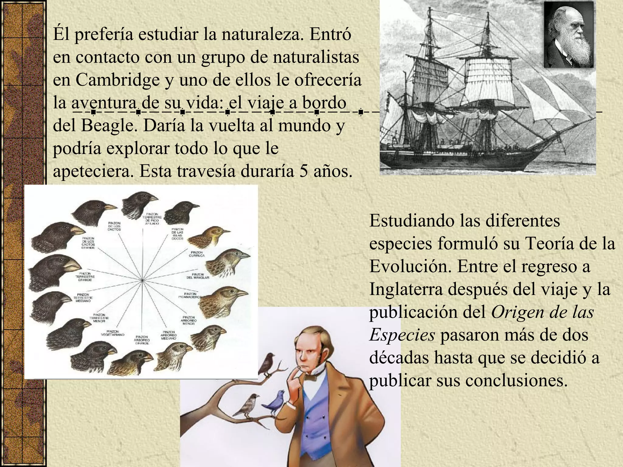 Él prefería estudiar la naturaleza. Entró
en contacto con un grupo de naturalistas
en Cambridge y uno de ellos le ofrecería
la aventura de su vida: el viaje a bordo
del Beagle. Daría la vuelta al mundo y
podría explorar todo lo que le
apeteciera. Esta travesía duraría 5 años.

                                            Estudiando las diferentes
                                            especies formuló su Teoría de la
                                            Evolución. Entre el regreso a
                                            Inglaterra después del viaje y la
                                            publicación del Origen de las
                                            Especies pasaron más de dos
                                            décadas hasta que se decidió a
                                            publicar sus conclusiones.
 