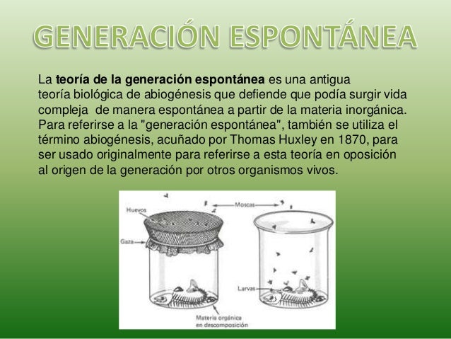 Teorías Creacionistas y Evolucionistas