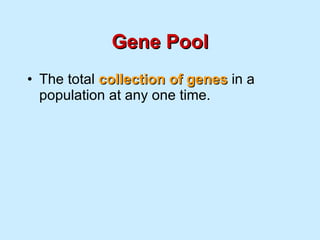 Gene Pool The total  collection of genes  in a population at any one time. 