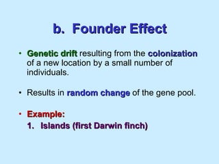 b.  Founder Effect Genetic drift  resulting from the  colonization  of a new location by a small number of individuals. Results in  random change  of the gene pool. Example: 1. Islands (first Darwin finch) 