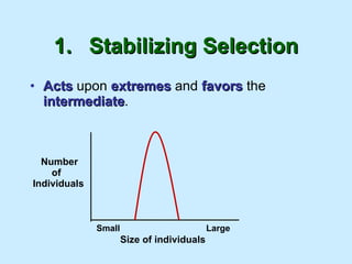 1. Stabilizing Selection Acts  upon  extremes  and  favors  the  intermediate . Number of Individuals Size of individuals Small  Large 