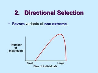 2. Directional Selection Favors  variants of  one extreme . Number of Individuals Size of individuals Small  Large 
