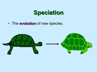 Speciation The  evolution  of new species. 