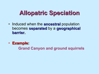 Allopatric Speciation Induced when the  ancestral  population becomes  separated  by a  geographical barrier. Example: Grand Canyon and ground squirrels 
