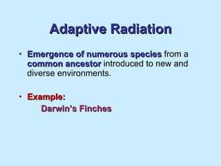 Adaptive Radiation Emergence of numerous species  from a  common ancestor  introduced to new and diverse environments. Example: Darwin’s Finches 