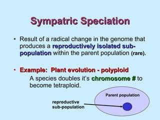 Sympatric Speciation Result of a radical change in the genome that produces a  reproductively isolated sub-population  within the parent population  (rare). Example:  Plant evolution - polyploid A species doubles it’s  chromosome #  to  become tetraploid. reproductive sub-population Parent population 
