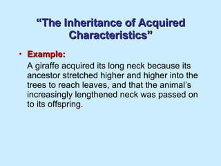 “ The Inheritance of Acquired Characteristics” Example: A giraffe acquired its long neck because its ancestor stretched higher and higher into the trees to reach leaves, and that the animal’s increasingly lengthened neck was passed on to its offspring. 