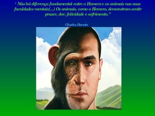 “  Não há diferença fundamental entre o Homem e os animais nas suas faculdades mentais(...) Os animais, como o Homem, demonstram sentir prazer, dor, felicidade e sofrimento.” Charles Darwin   