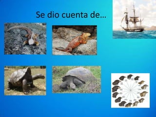 Se dio cuenta de…

 