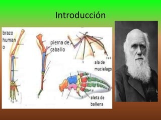 Introducción

 