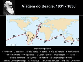 Viagem do Beagle, 1831 - 1836
Pontos de parada:
1 Plymouth - 2 Tenerife - 3 Cabo Verde - 4 Bahia – 5 Rio de Janeiro - 6 Montevideu –
7 Ilhas Falkland - 8 Valparaiso – 9 Callao / Lima - 10 Galapagos - 11 Tahiti –
12 Nova Zelândia - 13 Sydney – 14 Hobart - 15 King George's Sound –
16 Ilhas Cocos (Keeling) - 17 Mauritius – 18 Cidade do Cabo - 19 Bahia - 20 Açores
 