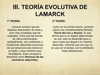 III. TEORÍA EVOLUTIVA DE 
LAMARCK 
1ª TEORÍA: 
Lamarck sostuvo que las 
especies descendían de otras y 
eran más complejas que las 
originales. Creía que las formas 
de vida evolucionaban 
gradualmente, sus cualidades o 
mutaciones adquiridas provenían 
de sus esfuerzos para sobrevivir 
al medio y esos cambios eran 
hereditarios. Este concepto lo 
denominó como Herencia de los 
caracteres adquiridos. 
2ª TEORÍA: 
Junto con la primera teoría, Lamarck 
colocó una complementaria llamada 
Teoría del uso y desuso, la cual 
afirma que si un órgano determinado 
se usa, este se desarrolla poco a 
poco hasta que llegue a su máximo 
desarrollo, mientras que uno que no 
se usa con el tiempo, se irá atrofiando 
hasta desaparecer. 
 
