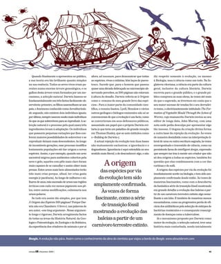 Beagle. A evolução não pára. Assim como o conhecimento da obra do cientista que viajou a bordo do Beagle. www.aboutdarwin.com.
Quando finalmente a apresentou ao público,
a sua teoria era tão brilhante quanto simples
na sua essência. Todos os seres vivos eram pa-
rentes numa enorme árvore genealógica, e os
galhos desta árvore eram formados por um me-
canismo, a selecção natural. Darwin baseou-se
fundamentalmente em três factos facilmente ob-
serváveis: primeiro, os filhos assemelham-se aos
pais, o fenómeno conhecido como hereditarieda-
de; segundo, não existem dois indivíduos iguais;
porúltimo,semprenascemmuitomaisindivíduos
doqueosquesobrevivemparasereproduzir.Ase-
lecção natural é o processo pelo qual esses três
ingredientes levam à adaptação. Os indivíduos
que possuem pequenas variações que lhes con-
ferem maiores possibilidades de sobreviver e se
reproduzir deixam mais descendentes. Ao longo
de incontáveis gerações, esse processo modifica
lentamente populações até dar origem a novas
espécies. Assim, e por exemplo, quando um urso
ancestral migrou para ambientes cobertos pela
neve e gelo, aqueles com pêlo mais claro foram
mais capazes de se camuflar e assim obter mais
presas. Estes ursos mais bem alimentados terão
tido mais crias porque, afinal, ter crias gasta
energia (e paciência). Ao longo de milhares e mi-
lharesdeanos,estasucessãodeursosnasregiões
árcticas com cada vez menos pigmento nos pê-
los, entre outras modificações, culminaria nos
ursos-polares.
Se tudo era assim tão simples, por que tem
A Origem das Espécies 500 páginas? Porque Dar-
win não era Chambers. O livro é, nas palavras de
seu autor, «one long argument». Nesse argumen-
to longo e rigoroso, Darwin arregimenta factos
de todas as áreas da História Natural, da Geo-
logia e Paleontologia, da Zoologia e da Botânica,
da experiência dos criadores de animais e por aí
afora, ad nauseam, para demonstrar que todas
as espécies, vivas e extintas, têm laços de paren-
tesco. Sucede que, para o homem que passou
quaseumadécadadebruçadoaomicroscópioob-
servando percebes, as 500 páginas não estavam
à altura do desafio. Darwin referia-se à Origem
como o «resumo do meu grande livro das espé-
cies». Para a maior parte da comunidade cien-
tífica, o resumo bastou. Lyell, Henslow e vários
outros geólogos e biólogos eminentes não só se
convenceram de que a evolução é um facto, como
se converteram em seus defensores públicos,
assumindo um papel que o próprio Darwin evi-
taria (e que teria um paladino de grande vocação
em Thomas Huxley, que se auto-intitulou como
o «Bulldog de Darwin»).
A actual rejeição da evolução tem duas bases
não mutuamente exclusivas: a ignorância e o
dogmatismo. Ignorância é aqui entendida no seu
sentido mais literal, o de desconhecer algo, e não
diz respeito somente à evolução, ou mesmo
à Biologia, mas à ciência como um todo. Na In-
glaterra vitoriana, a ciência era parte da cultura
geral, inclusive da cultura literária. Darwin
escrevia para o grande público, e o grande pú-
blico comprava as suas obras, às vezes até mais
do que o esperado, se tivermos em conta que o
seu maior sucesso de vendas foi o seu derradei-
ro tomo, o electrizantemente intitulado The For-
mation of Vegetable Mould Through the Action of
Worms, cujo manuscrito Darwin enviou ao seu
editor de longa data, John Murray, com uma
nota onde pedia desculpa por apresentar algo
tão insosso. O dogma da criação divina forma
a outra base da rejeição da evolução. Às vezes
de maneira desinibida como na interpretação li-
teral de uma ou outra escritura sagrada, às vezes
envergonhado e travestido de ciência, como na
persistente farsa do intelligent design, expressão
que sempre me traz à mente um criador que não
só deu origem a todas as espécies, também fez
questão que elas combinassem com a cor das
cortinas e do sofá.
A origem das espécies por via da evolução foi
imediatamente aceite na biologia, e tem sido am-
plamente confirmada desde então. Às vezes de
maneiras fascinantes, como com a descoberta
da fantástica série de transição fóssil mostrando
em grande detalhe a evolução das baleias a par-
tir de um carnívoro terrestre extinto algo seme-
lhante a um lobo. E também de maneiras menos
encantadoras, como na progressiva perda de efi-
cáciadosantibióticospelaselecçãodeestirpesde
bactérias resistentes e o consequente ressurgi-
mento de doenças como a tuberculose.
Já o mecanismo proposto por Darwin como
motor da evolução, a selecção natural, teve uma
história mais conturbada, sendo inicialmente
Aorigem
dasespéciesporvia
daevoluçãotemsido
amplamenteconfirmada.
Àsvezesdeforma
fascinante,comoasérie
detransiçãofóssil
mostrandoaevoluçãodas
baleiasapartirdeum
carnívoroterrestreextinto.
revista LER ( fevereiro 2009 ) 45
 