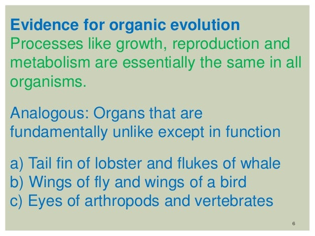 essay on evidence of organic evolution