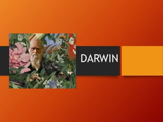 DARWIN
 