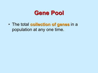 Gene Pool
• The total collection of genes in a
population at any one time.
 