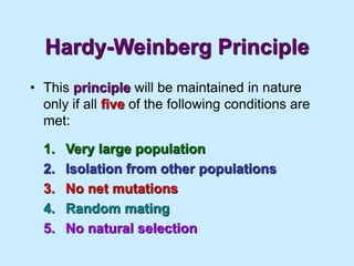 Hardy-Weinberg Principle
• This principle will be maintained in nature
only if all five of the following conditions are
met:
1. Very large population
2. Isolation from other populations
3. No net mutations
4. Random mating
5. No natural selection
 