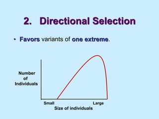 2. Directional Selection
• Favors variants of one extreme.
Number
of
Individuals
Size of individuals
Small Large
 