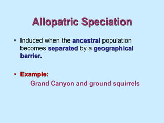 Allopatric Speciation
• Induced when the ancestral population
becomes separated by a geographical
barrier.
• Example:
Grand Canyon and ground squirrels
 