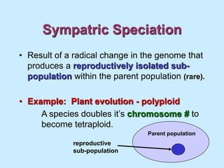 Sympatric Speciation
• Result of a radical change in the genome that
produces a reproductively isolated sub-
population within the parent population (rare).
• Example: Plant evolution - polyploid
A species doubles it’s chromosome # to
become tetraploid.
reproductive
sub-population
Parent population
 