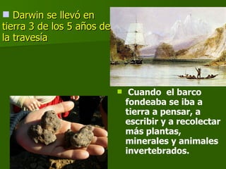 Cuando  el barco fondeaba se iba a tierra a pensar, a escribir y a recolectar más plantas, minerales y animales invertebrados.  Darwin se llevó en tierra 3 de los 5 años de la travesía 