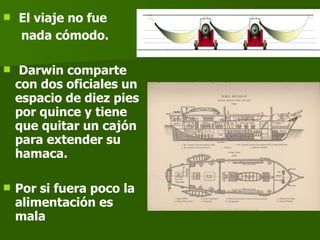 El viaje no fue  nada cómodo. Darwin comparte con dos oficiales un espacio de diez pies por quince y tiene que quitar un cajón para extender su hamaca.  Por si fuera poco la alimentación es mala 