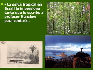 - La selva tropical en Brasil le impresiona tanto que le escribe al profesor Henslow para contarlo. 