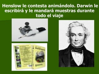 Henslow le contesta animándolo. Darwin le escribirá y le mandará muestras durante todo el viaje 