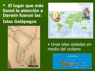 El lugar que más llamó la atención a Darwin fueron las Islas Galápagos   Unas islas aisladas en medio del océano  